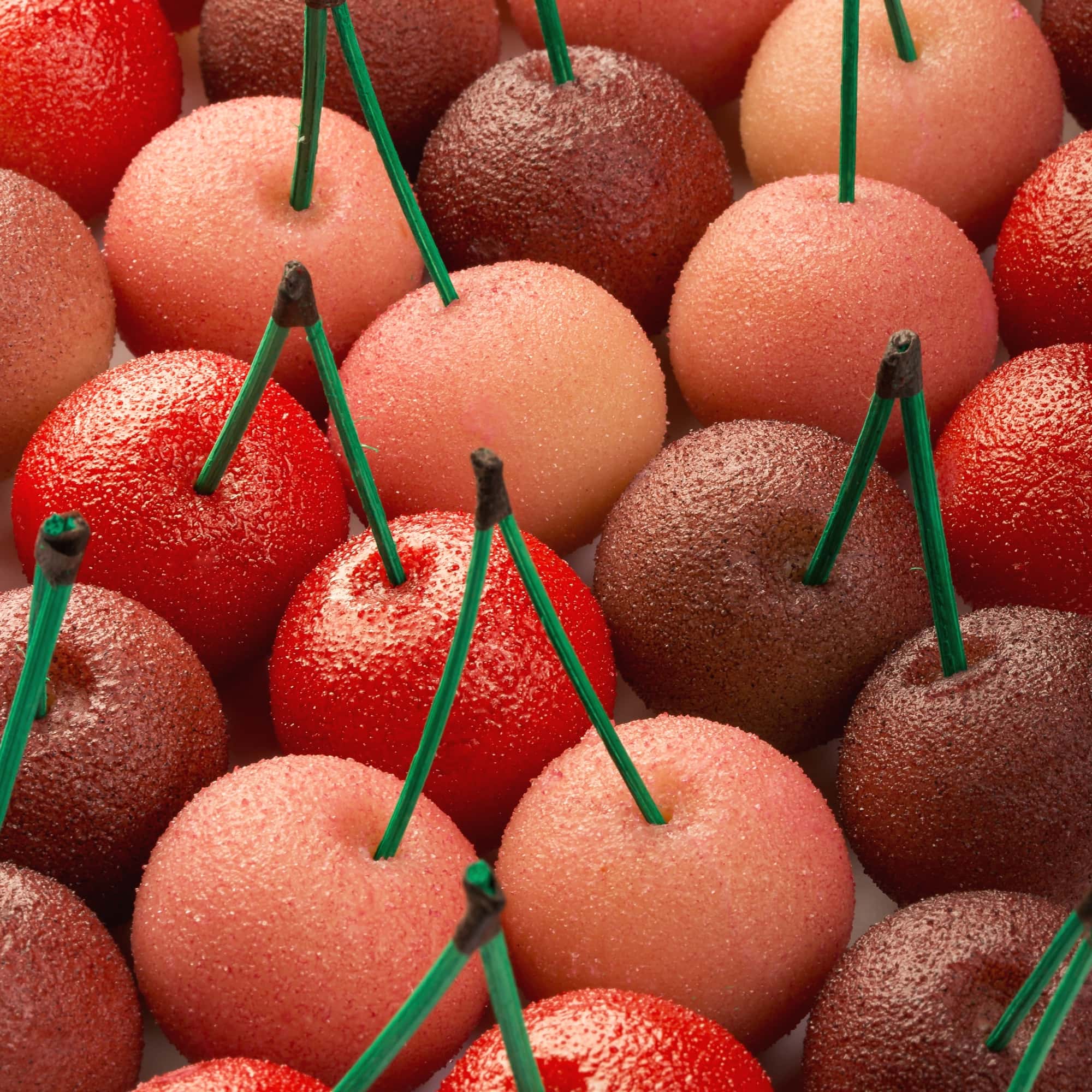 Duo de cerises - Image 4